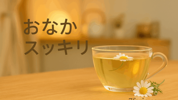 【女性の便秘悩みに】ハーブサウナで”おなかスッキリ”体験を